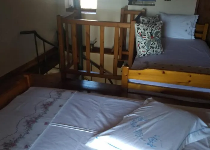 κούκος ευζην * Sykia Chalkidikis