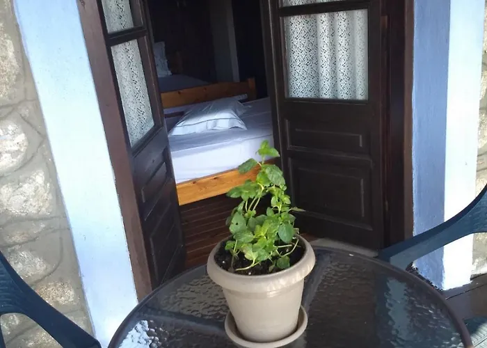 κούκος ευζην * Sykia Chalkidikis