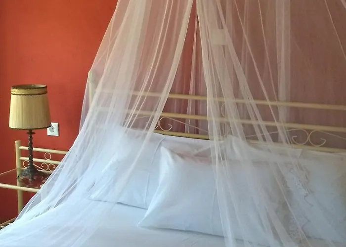 κούκος ευζην Sykia Chalkidikis