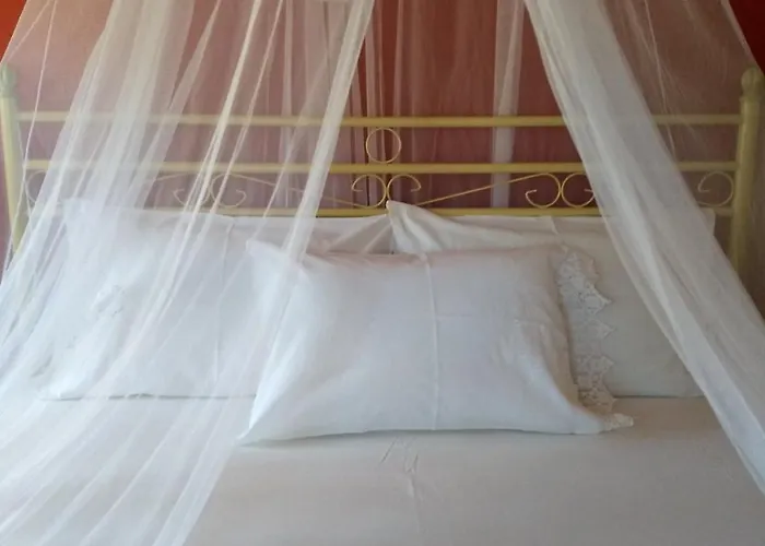 κούκος ευζην