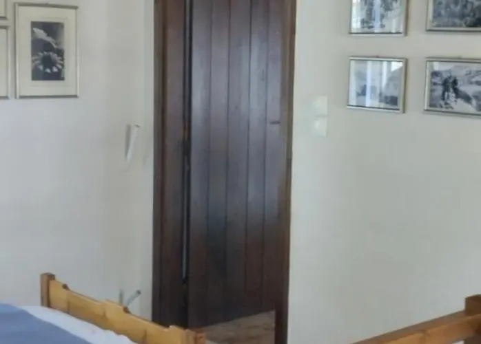 κούκος ευζην * Sykia Chalkidikis