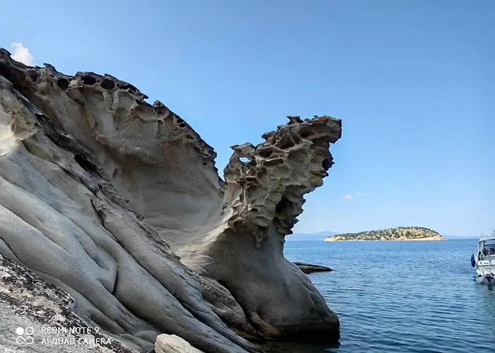 κούκος ευζην * Sykia Chalkidikis