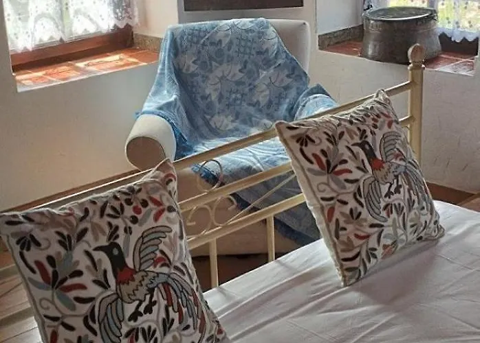 κούκος ευζην Sykia Chalkidikis