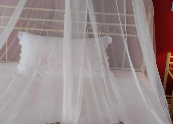 κούκος ευζην * Sykia Chalkidikis