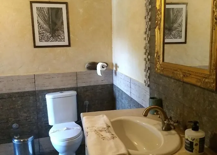 κούκος ευζην Hébergement de vacances Sykia Chalkidikis