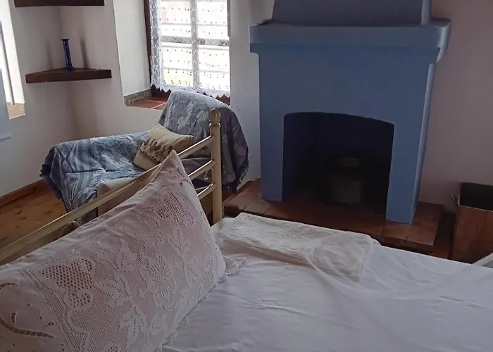 κούκος ευζην * Sykia Chalkidikis