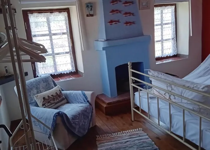 κούκος ευζην Sykia Chalkidikis