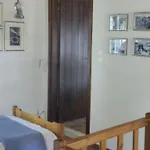 κούκος ευζην * 锡基亚