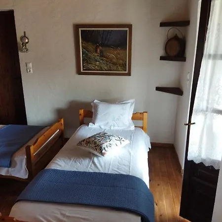 κούκος ευζην Sykia Chalkidikis