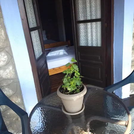 κούκος ευζην * Sykia Chalkidikis