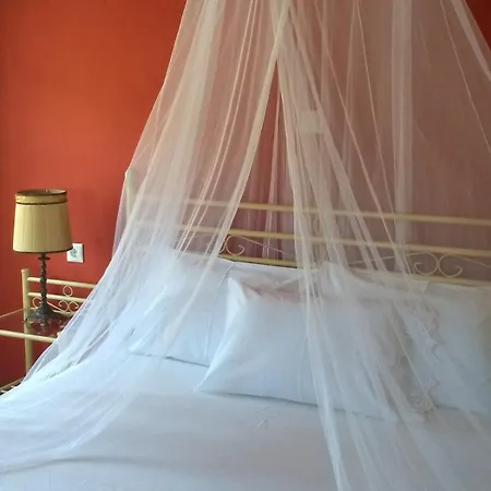 κούκος ευζην Sykia