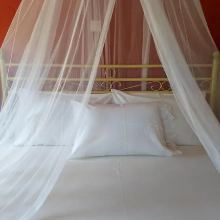 κούκος ευζην