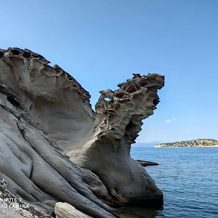 κούκος ευζην * Sykia Chalkidikis