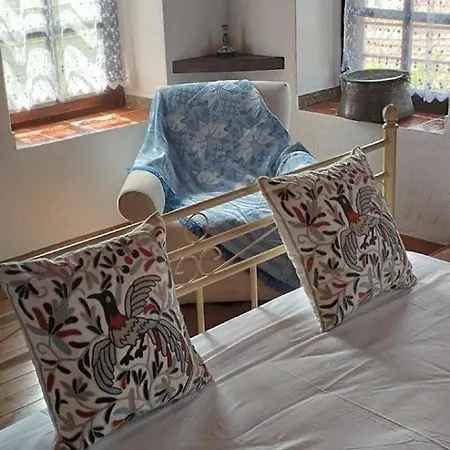 κούκος ευζην Sykia Chalkidikis