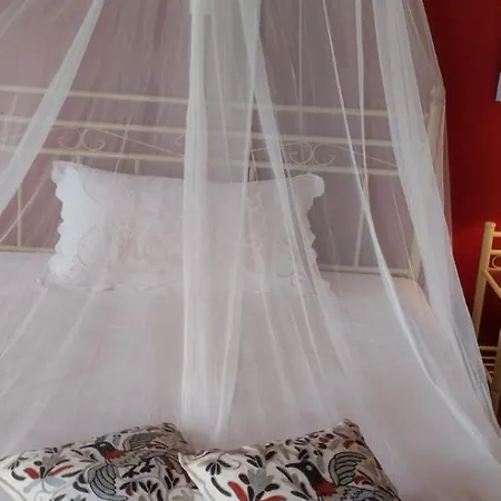 κούκος ευζην * Sykia Chalkidikis