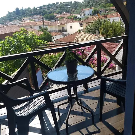 κούκος ευζην Sykia Chalkidikis