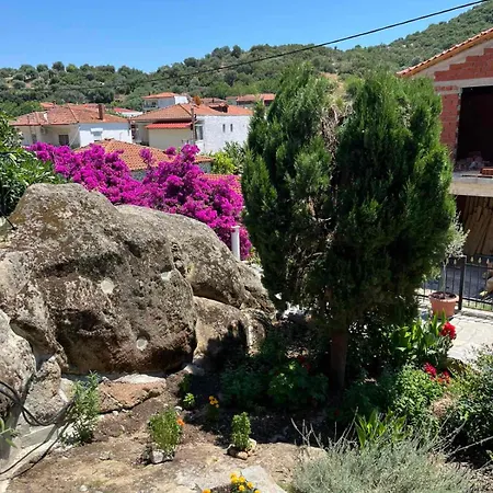 κούκος ευζην Vakantiehuis Sykia Chalkidikis